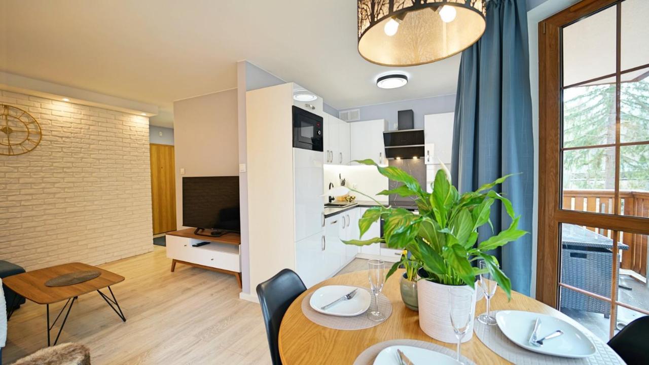 Apartamenty Everysky - Nad Lomnica 14A-B 卡尔帕奇 外观 照片